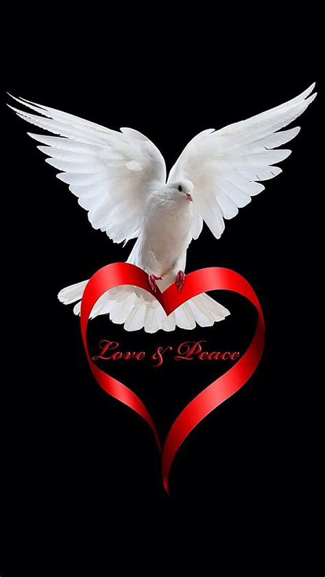 Love And Peace Dove Peace And Love White Doves Love Heart