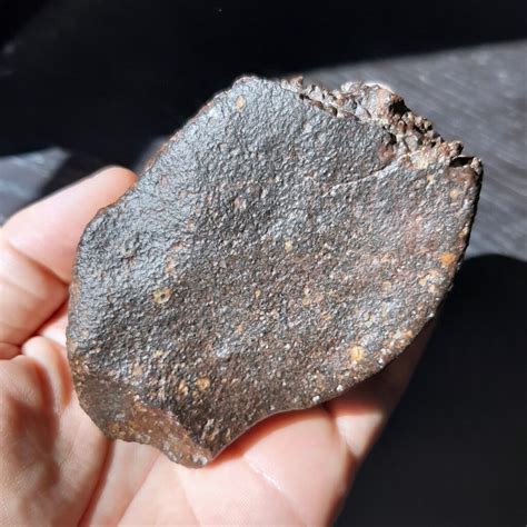 Nwa Chondrite Meteorite Probably L3 Type Meteolovers