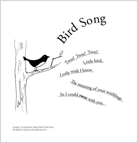 ‘bird Song Poem Barbara Vance Official Website Storytelling
