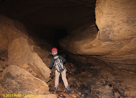 The Bccs Butler Cave Conservation Society