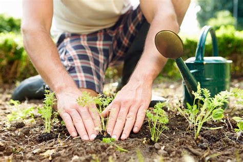 The Surprising Health Benefits Of Gardening Readers Digest