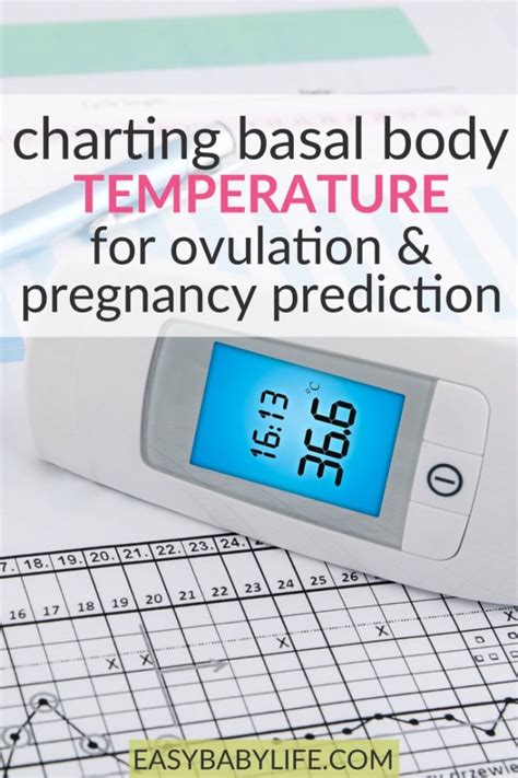Charting Basal Body Temperature Ovulation Pregnant Of Not