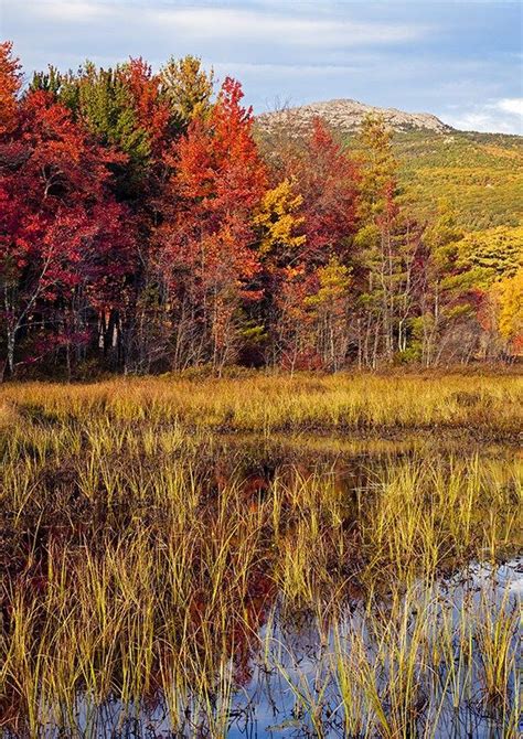 New Hampshire Autumn America New Hampshire Autumn Scenes