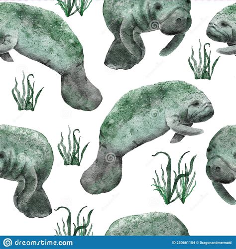 Hand Drawn Watercolor Seamless Pattern With Manatee Cow Sea Ocean