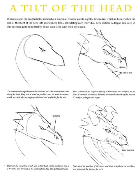 How To Draw A Dragons Head Step By Step Instructions For Beginners And