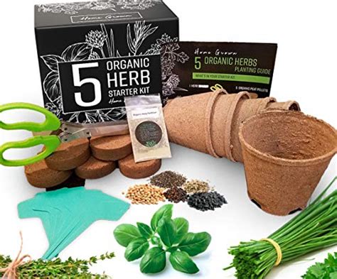 Herb Garden Starter Kit Indoor Complete Herb Growing Kit For Kitchen