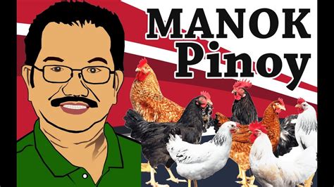 Free Range Chicken Ni Secretary Emmanuel Pinol Manok Pinoy Youtube
