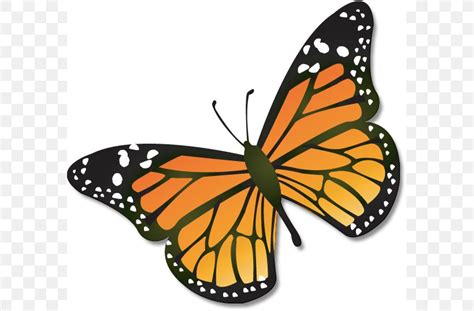 Monarch Butterfly Insect Caterpillar Clip Art Png 587x539px