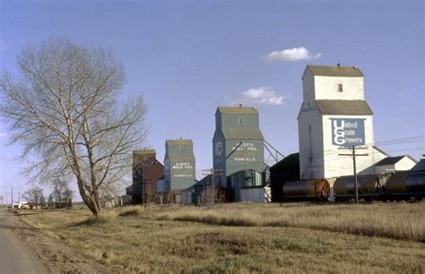 United Grain Growers And Alberta Wheat Pool Grain Elevators With Train