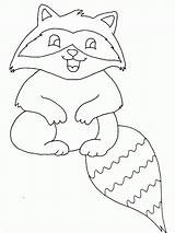 Raccoon Coloring Baby Printable sketch template
