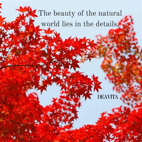 60 Nature Quotes To Celebrate Earths Day And Appreciate Its Beauty