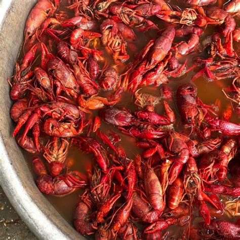 Best Boiled Crawfish In Baton Rouge Red Stick Life