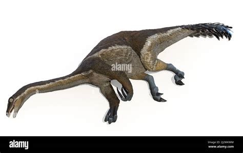 Therizinosaurus Hi Res Stock Photography And Images Alamy