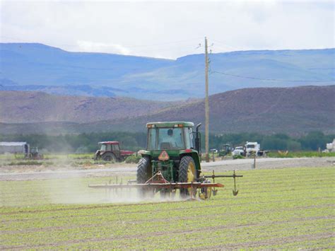 Owyhee Agriculture Cultivating