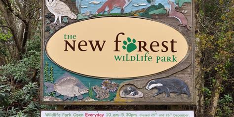 New Forest Wildlife Park Ashurst Southampton