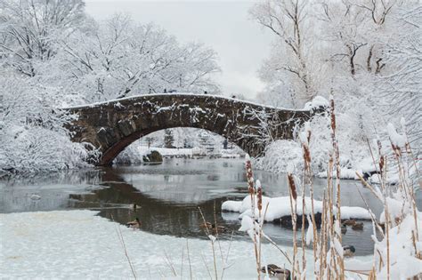 New York City Central Park In Snow Bridge Stock Photo