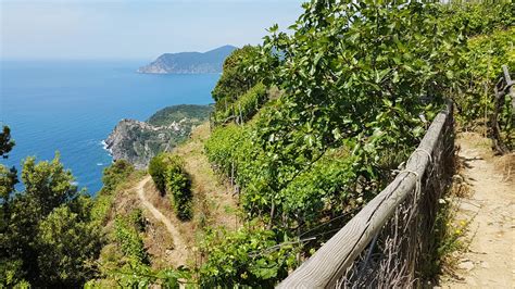 Can You Hike The Cinque Terre In One Day BeautifuLiguria