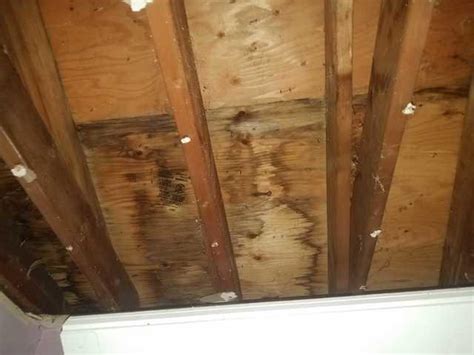 Roof Leak In The Garage Causes Mold In Trenton Nj Treating The Mold