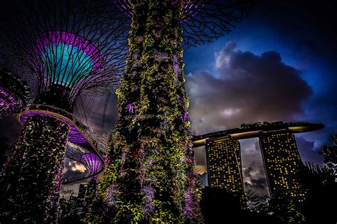 Image Singapore Gardens By The Bay Nature Night