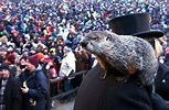 Groundhog Day: Origins, Facts, and Punxsutawney Phil