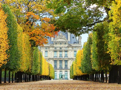 Jardin De Tuileries Travel Insider