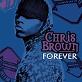 Chris Brown: Forever (2008)