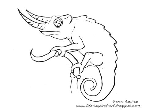 Life Inspired Art How To Draw A Chameleon