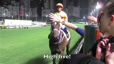 Find live and recorded audio of all hong kong races here. Vlog: Horse Racing (Hong Kong Happy Valley) - YouTube