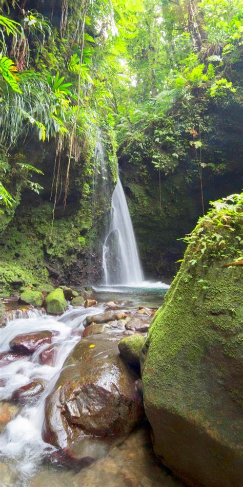 roseau dominica what would you do with 8 hours in dominica take a dip in refreshing natural