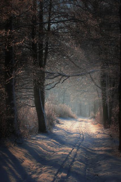Snowy Country Road At Dusk Scenery Winter Scenery Winter Scenes