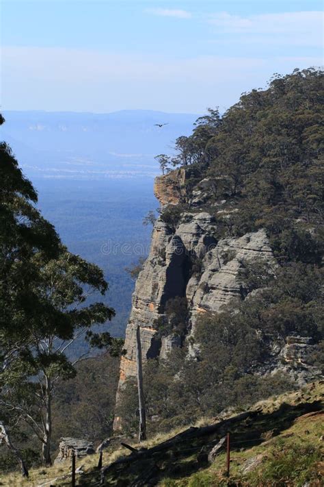 Blue Mountains Cliff Face Stock Image Image Of Rocky 43737817