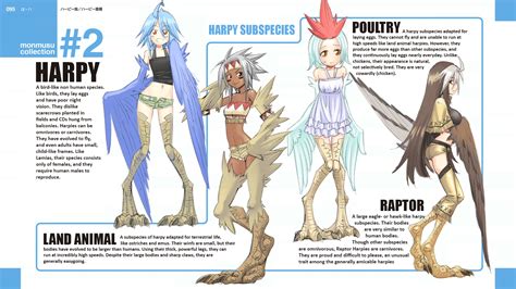 Harpy Subspecies End Card Modified Monster Girl Encyclopedia