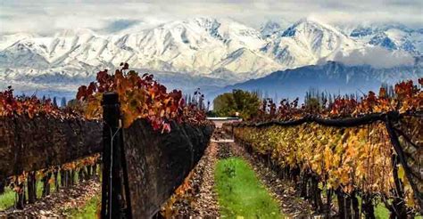 Conheça Mendoza A Capital Dos Vinhos Na Argentina Abc