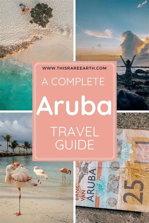 The Complete Aruba Travel Guide With Flamingos On The Beach And In The