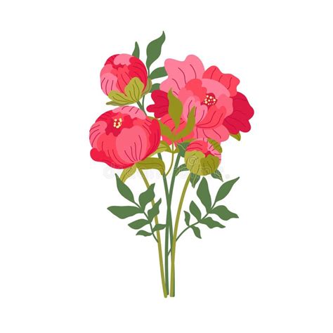 Bouquet Of Elegant Blooming Peonies Vector Flat Illustration Romantic