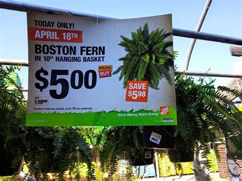 Extreme Couponing Mommy Home Depot Garden Club