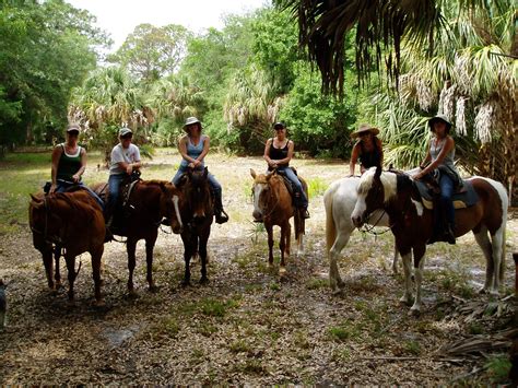 Florida Trail Riding On Horseback Recreation Port St Lucie