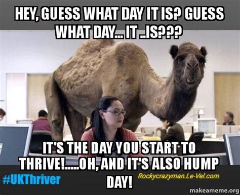 Alger said, if you look at the tracking chart, the irony of it is it actually makes a hump, and it spikes on wednesdays, which is what more geico has a history of running funny ads. Hump day & Thrive day! Happy hump day 🐫🐪 Have you started ...