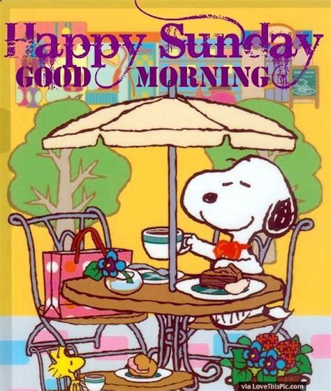 Happy Sunday Morning Cartoon Images Wisdom Good Morning Quotes