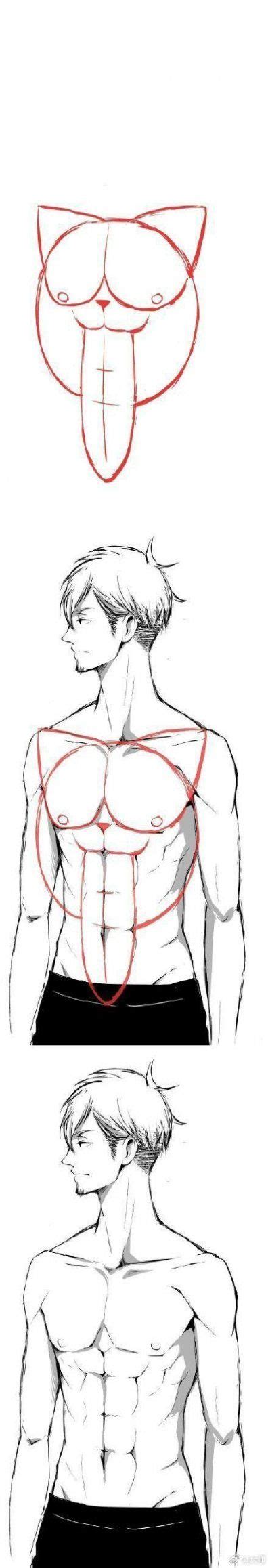 Drawing Body Reference Male Torso 52 Ideas Drawing How