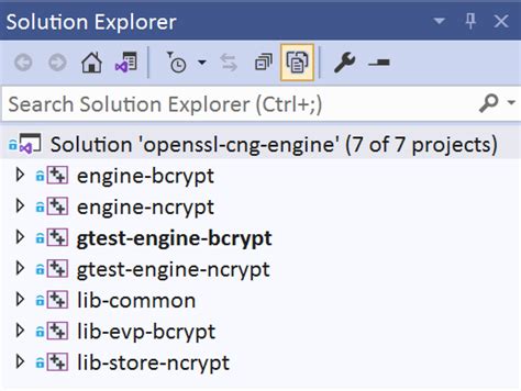 Msbuild Projects Openssl Cng Engine Documentation