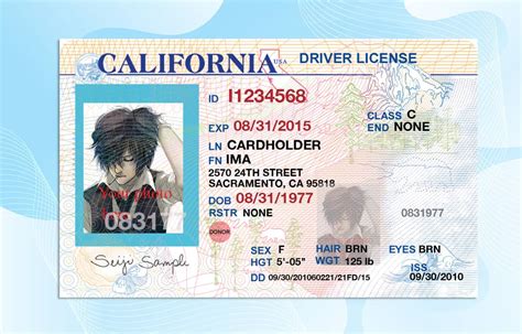 California Drivers License Template V 1 Psd Photoshop File