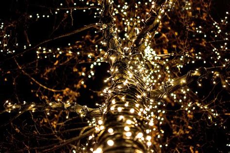 Free Closeup Photo Of Lighted String Lights Nohatcc