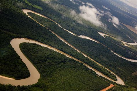 Projeto Que Cria Consórcio Da Amazônia Legal é Aprovado Em Mato Grosso
