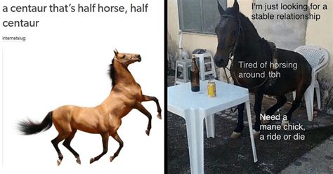 Memebase Horse Memes All Your Memes In Our Base Funny Memes