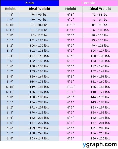 Weight Height Chart Weightheightchart