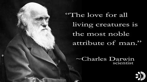 Charles Darwin The Lower Animals Like Man Feel Pleasure And Pain