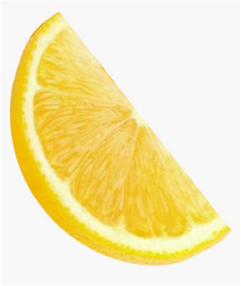 Tumblr Transparents Bright Orange Yellow Lemon Lemonade Lemon Slice