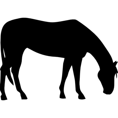 Free Icon Horse Grazing Black Silhouette