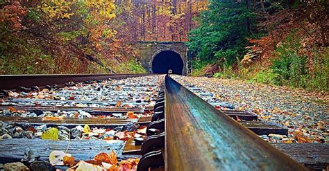 The 10 Best Fall Train Rides In The Us Train Rides Train Travel